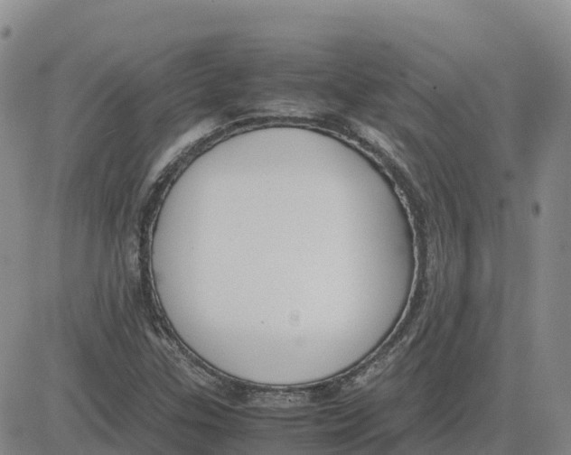 X0000083011307200702231802