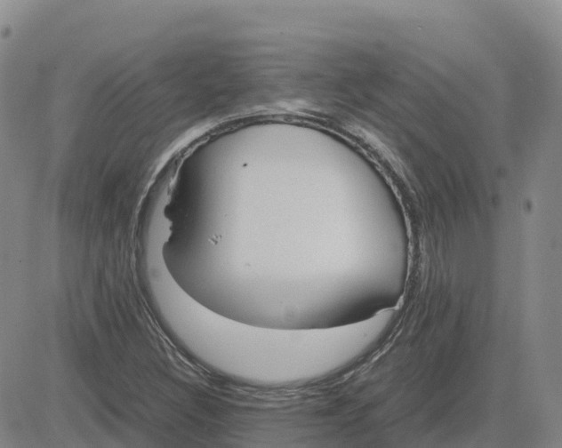 X0000083011308200702231802