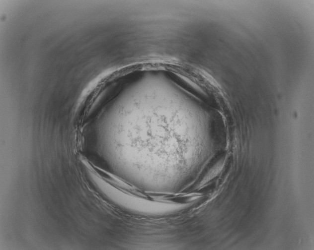 X0000083011310200702231802