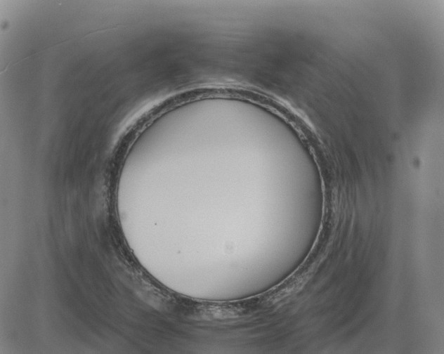 X0000083011311200702231802