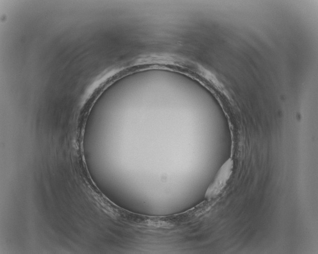 X0000083011312200702231802