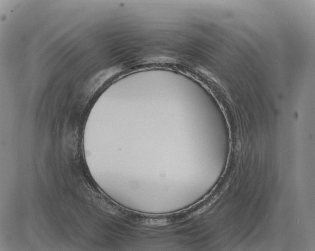 X0000083011313200702231802