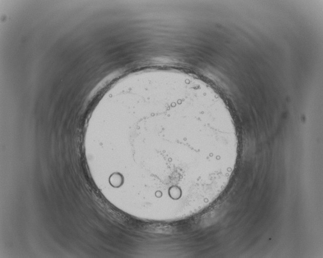 X0000083011314200702231802