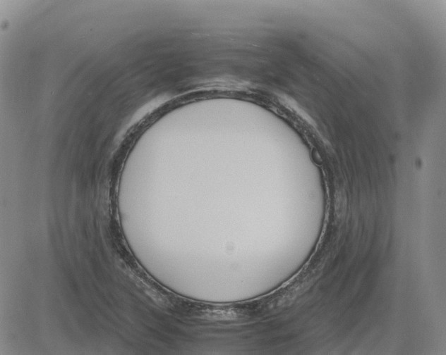 X0000083011315200702231802