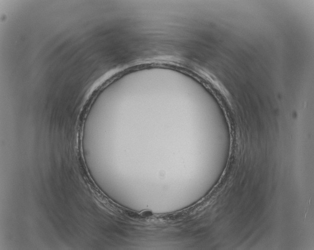 X0000083011316200702231802