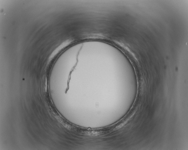 X0000083011317200702231802