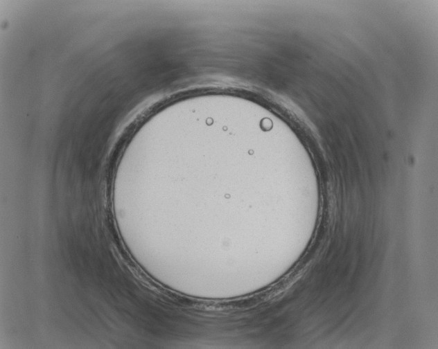 X0000083011318200702231802