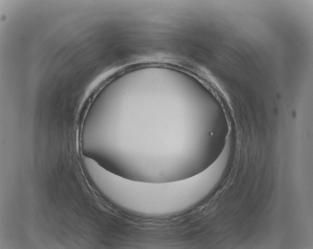 X0000083011320200702231802