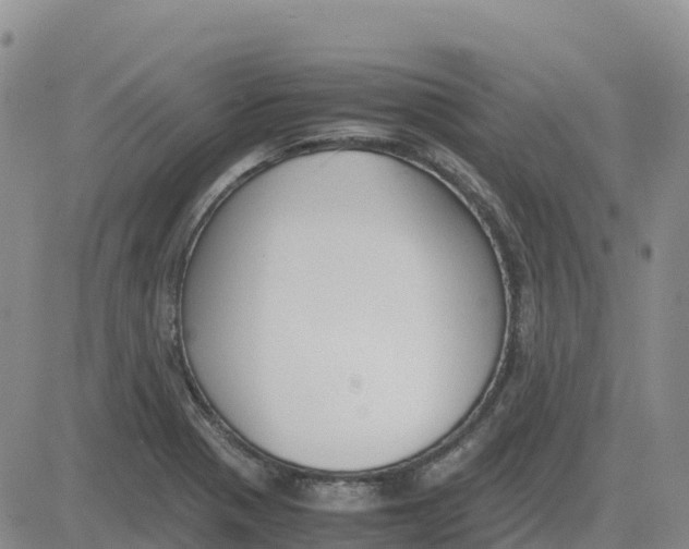 X0000083011321200702231802