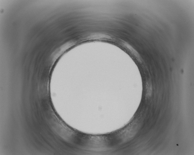 X0000083011322200702231802