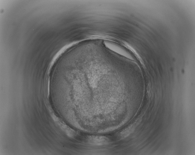 X0000083011323200702231802