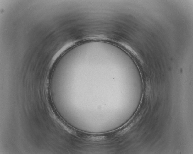 X0000083011325200702231802