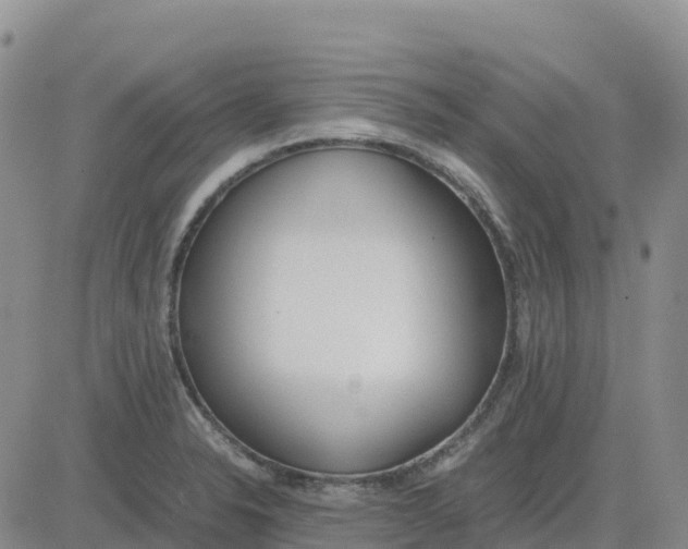 X0000083011326200702231802