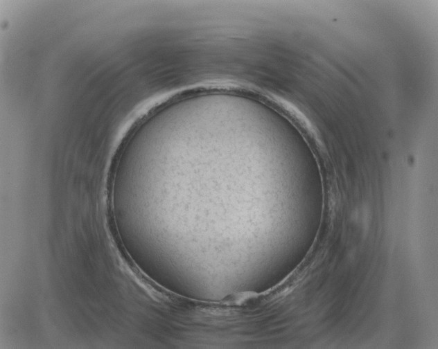 X0000083011327200702231802