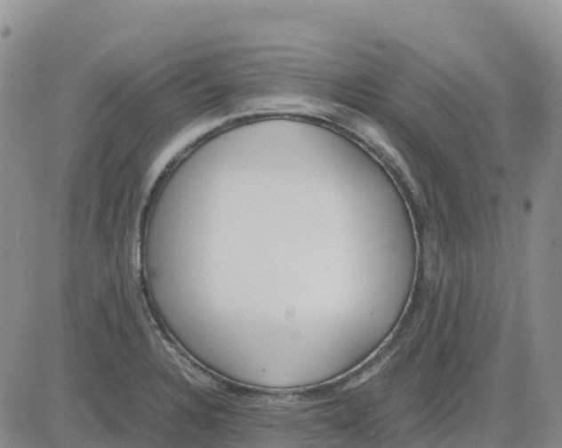 X0000083011328200702231802