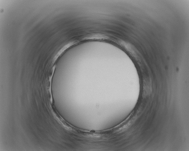 X0000083011329200702231802