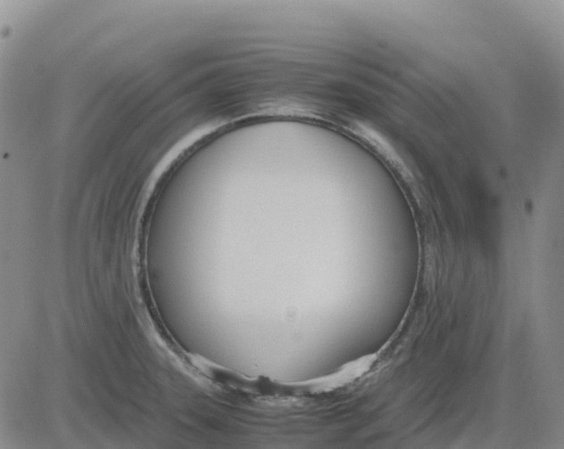 X0000083011331200702231802