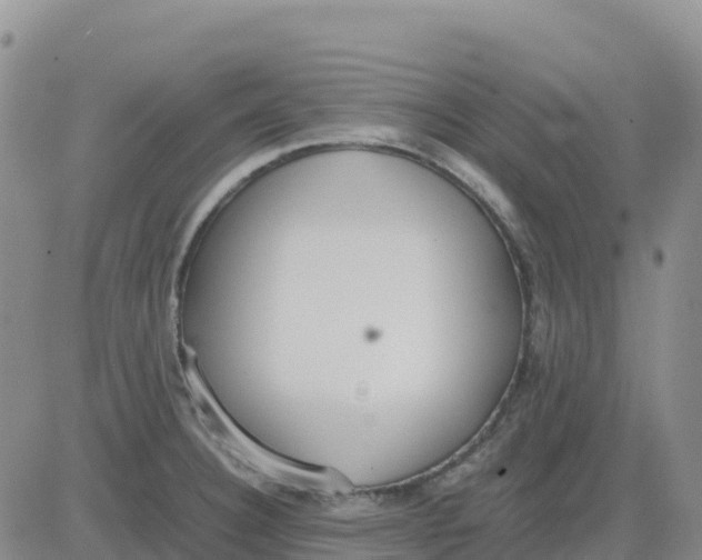 X0000083011332200702231802