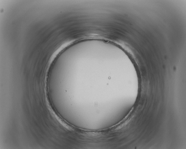 X0000083011333200702231802