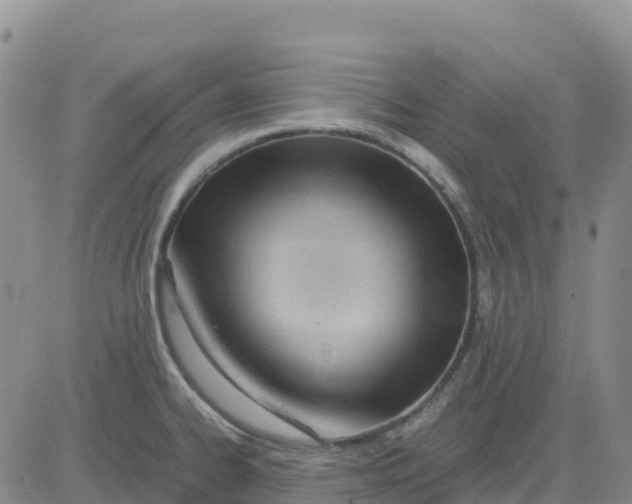 X0000083011334200702231802