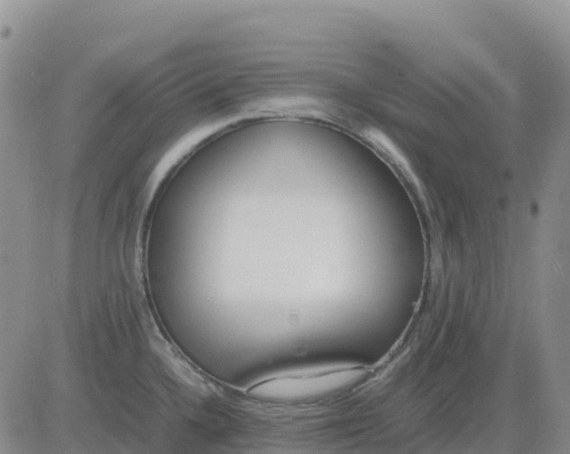 X0000083011336200702231802