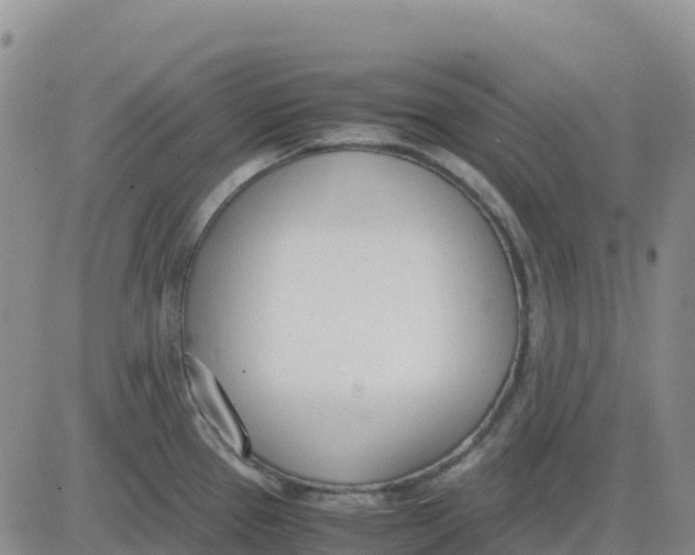 X0000083011337200702231802