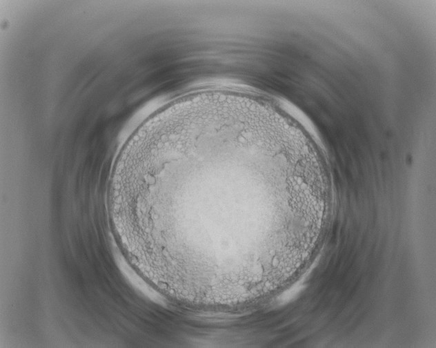 X0000083011338200702231802