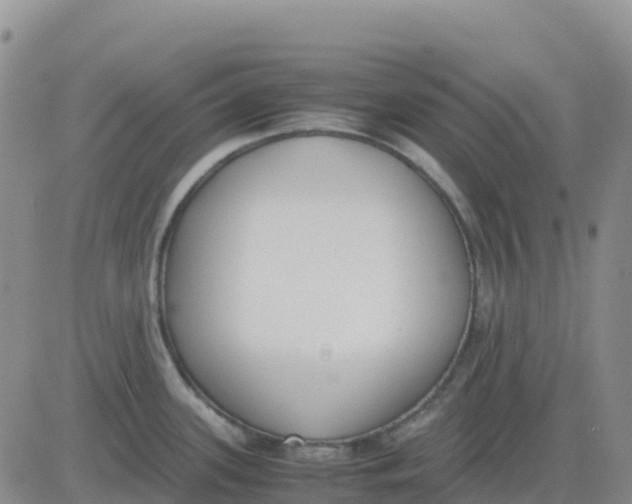 X0000083011339200702231802