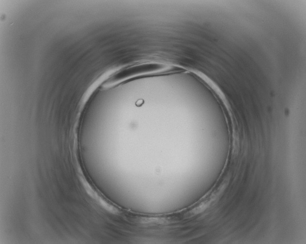 X0000083011341200702231802