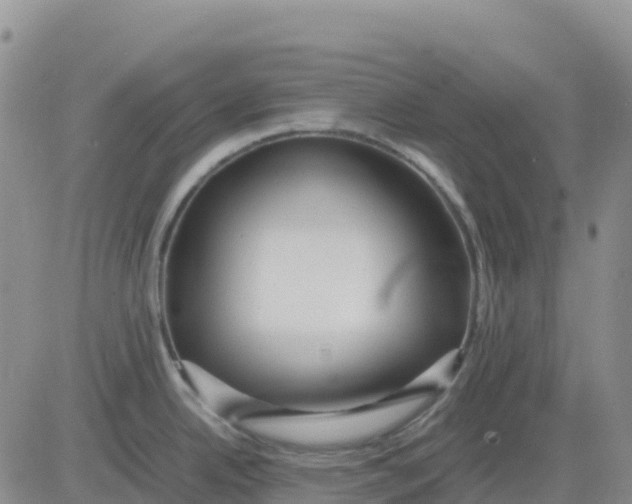 X0000083011342200702231803