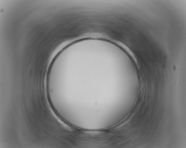 X0000083011343200702231803