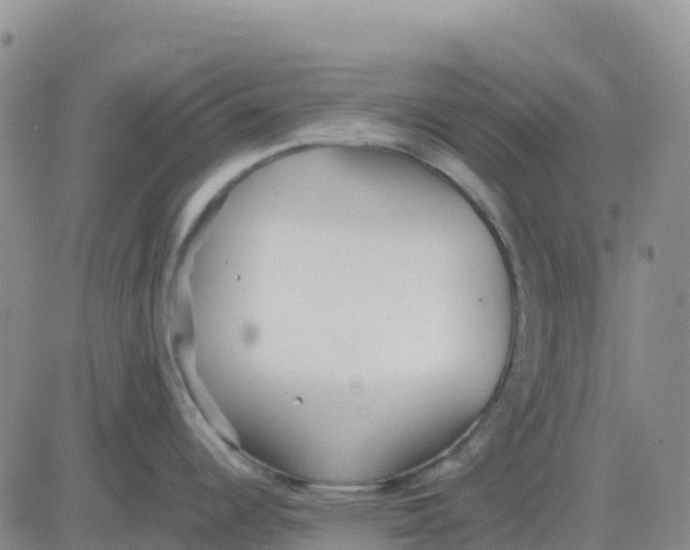 X0000083011344200702231803