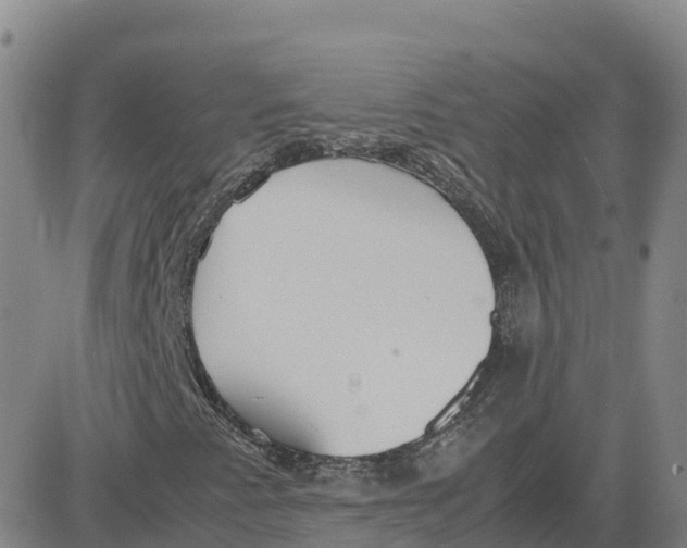 X0000083011345200702231802