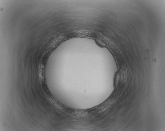 X0000083011346200702231802