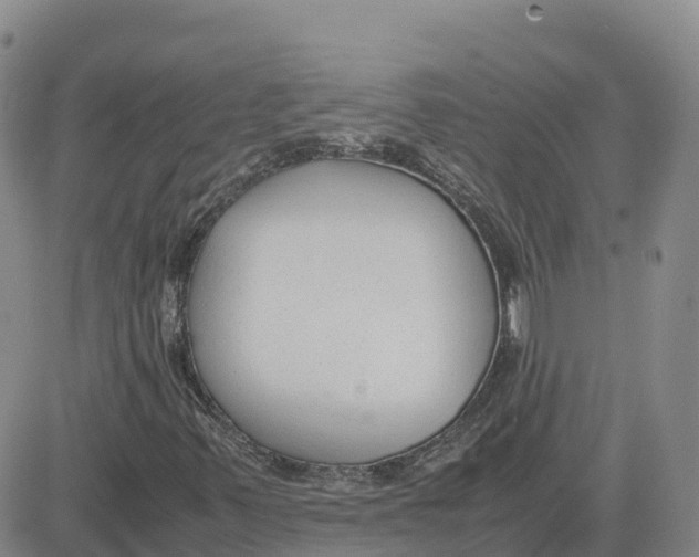 X0000083011347200702231801