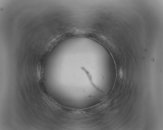 X0000083011348200702231801