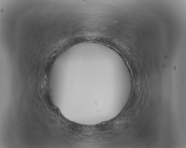 X0000083011349200702231801