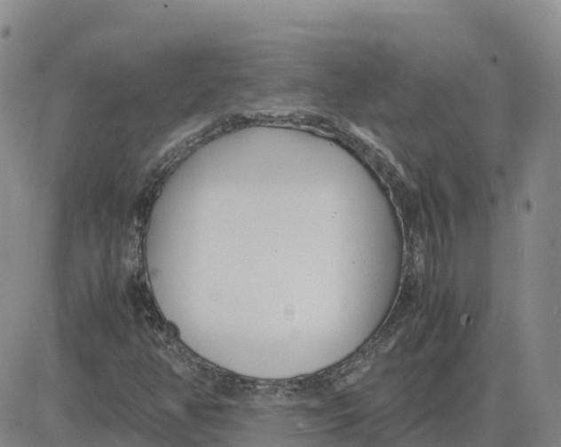 X0000083011350200702231801