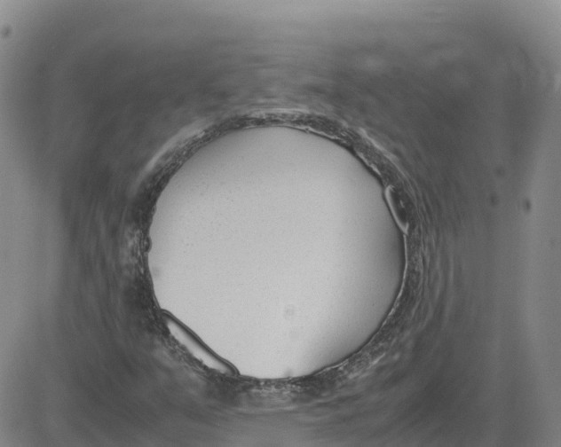 X0000083011351200702231801