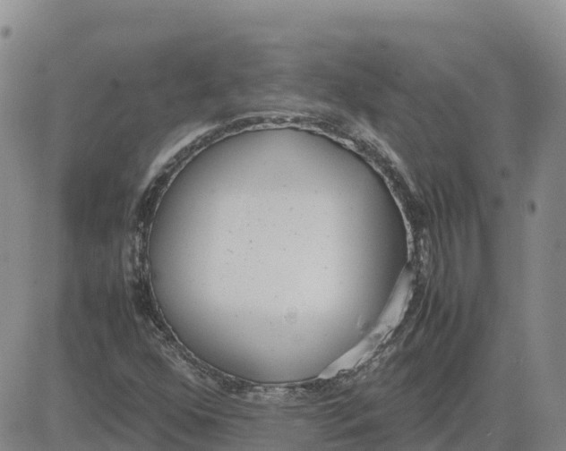 X0000083011352200702231801