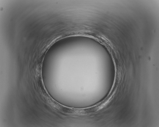 X0000083011353200702231801