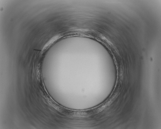 X0000083011354200702231801