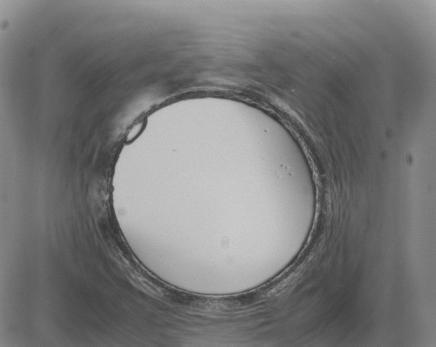 X0000083011355200702231801