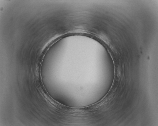 X0000083011356200702231801