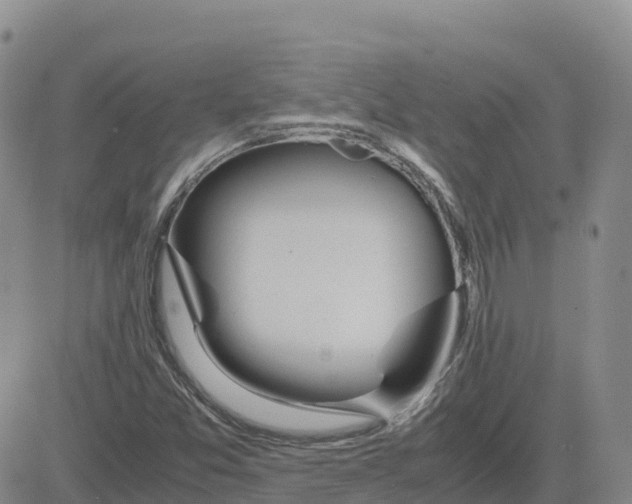 X0000083011357200702231801