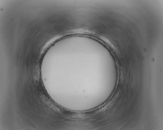 X0000083011358200702231801