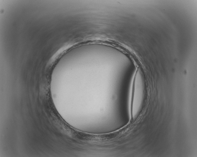 X0000083011359200702231801