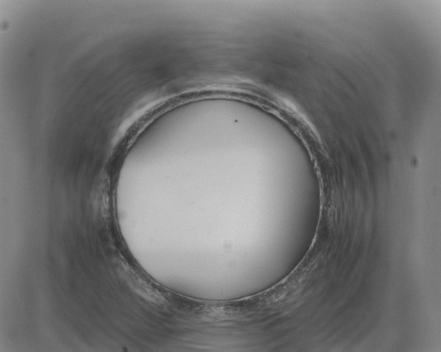 X0000083011360200702231801