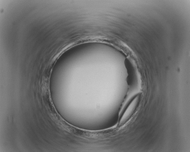 X0000083011361200702231801