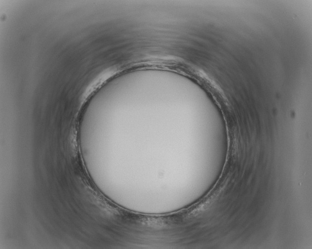 X0000083011362200702231801